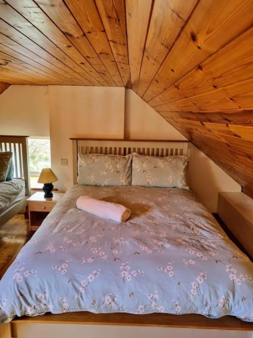 Cottage Skelligs Coast, Ring Of Kerry Cahersiveen Esterno foto