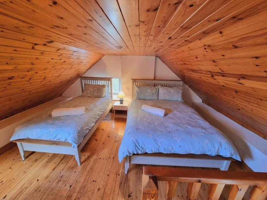 Cottage Skelligs Coast, Ring Of Kerry Cahersiveen Esterno foto