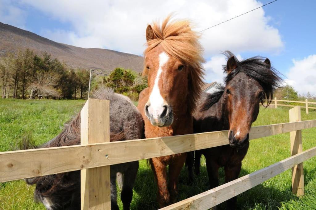 Cottage Skelligs Coast, Ring Of Kerry Cahersiveen Esterno foto